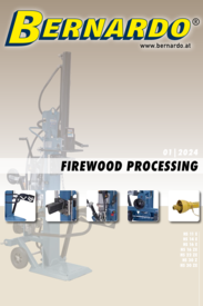 Firewood processing