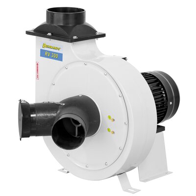 RV 300